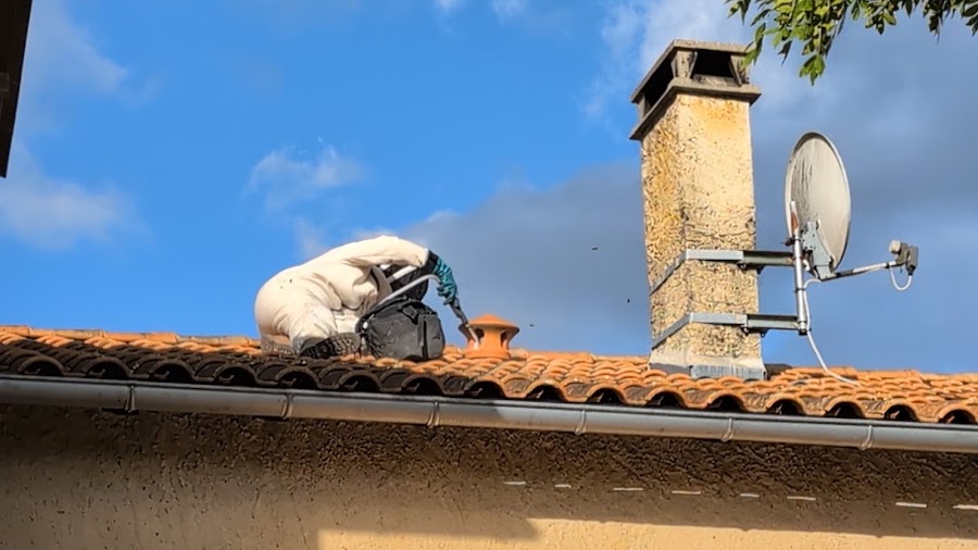 Véhicule professionnel de Se Ly Guêpes Frelons