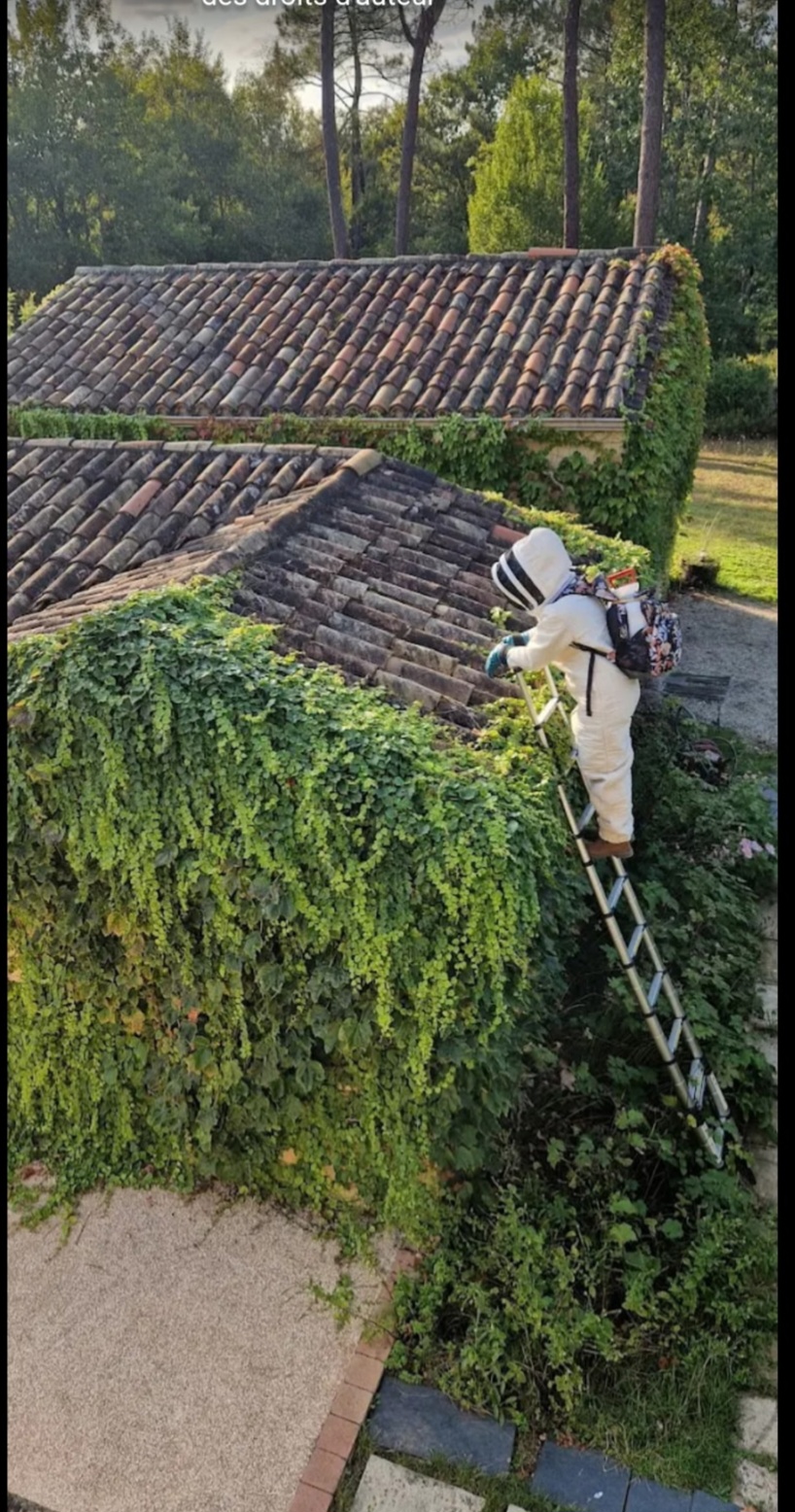 Professionnel en combinaison de protection près d'une habitation